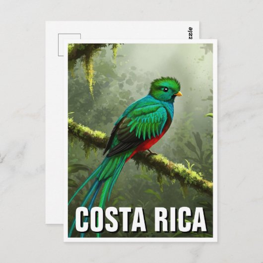 Carte Postale Forêt nuageuse de Quetzal Monteverde (Devant / Derrière)