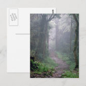 Carte Postale Forêt nuageuse, Mt. Kilimanjaro, Tanzanie (Devant / Derrière)