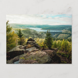 Carte Postale Forêt   Ore Mountains Allemagne