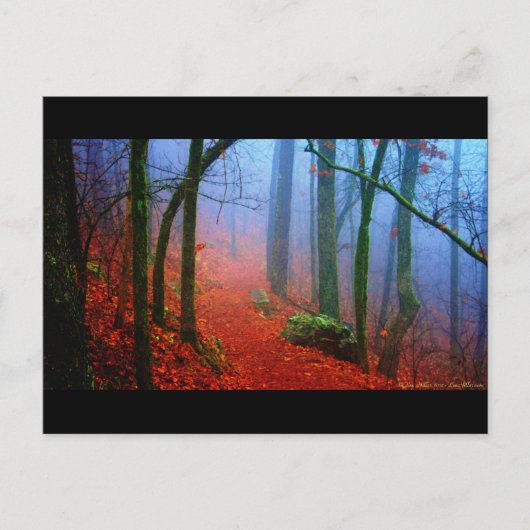 Carte Postale Forêt peinte Automne Brouillard bleu (Devant)