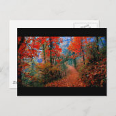 Carte Postale Forêt peinte Flamme d'automne Cadeaux d'aquarelle (Devant / Derrière)