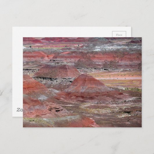 Carte Postale Forêt pétrifiée 2 (Devant / Derrière)