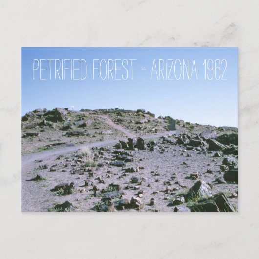Carte Postale Forêt pétrifiée Arizona 1962 (Devant)