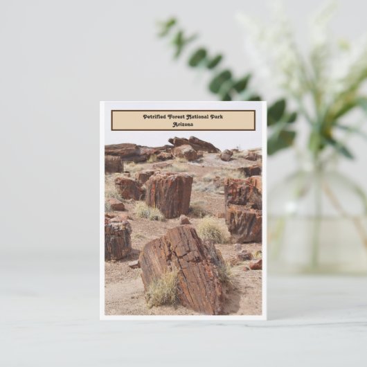 Carte Postale Forêt pétrifiée, AZ, Verticale (Debout devant)