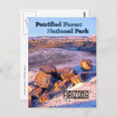 Carte Postale Forêt pétrifiée style Vintage (Devant / Derrière)