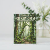 Carte Postale Forêt pluviale de Hoh Washington (Debout devant)