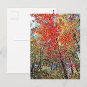 Carte Postale forêt pointillisme (Devant / Derrière)