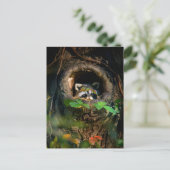 Carte Postale Forêt | Raccoon Peeking (Debout devant)
