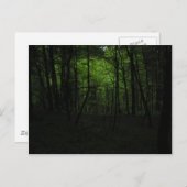 Carte Postale Forêt sombre abandonnée (Devant / Derrière)