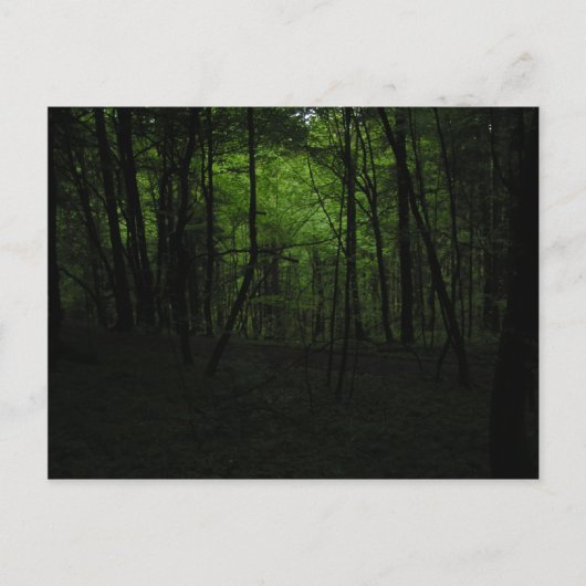 Carte Postale Forêt sombre abandonnée (Devant)