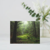 Carte Postale Forêt stérile (Debout devant)