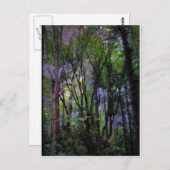 Carte Postale Forêt surnaturelle de Fairy Lights (Devant / Derrière)