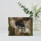 Carte Postale Forêt | Trois Chouettes (Debout devant)