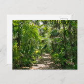 Carte Postale Forêt | Tropical Rainforest Tulum Mexique (Devant / Derrière)