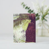 Carte Postale Forêt tropicale de Fern (Debout devant)