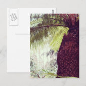 Carte Postale Forêt tropicale de Fern (Devant / Derrière)