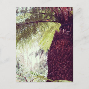 Carte Postale Forêt tropicale de Fern