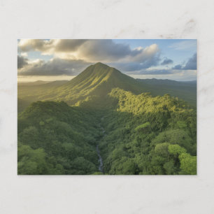 Carte Postale Forêt tropicale d'El Yunque à Porto Rico