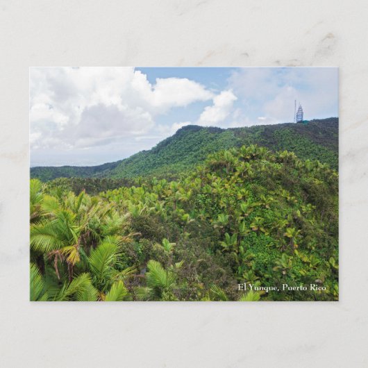 Carte Postale Forêt tropicale d'El Yunque et tour de communicati (Devant)