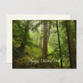 Carte Postale Forêt tropicale du parc national Olympique pittore (Devant / Derrière)
