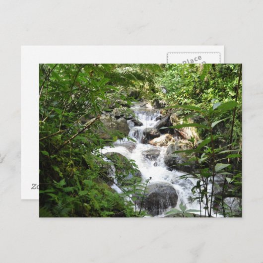 Carte Postale Forêt tropicale d'Yunque, Porto Rico (Devant / Derrière)