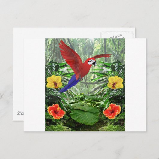 Carte Postale Forêt tropicale tropicale (Devant / Derrière)