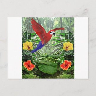 Carte Postale Forêt tropicale tropicale