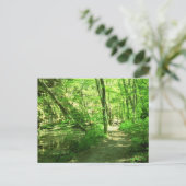 Carte Postale Forêt verte (Debout devant)