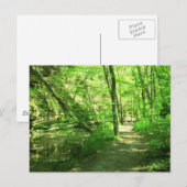 Carte Postale Forêt verte (Devant / Derrière)