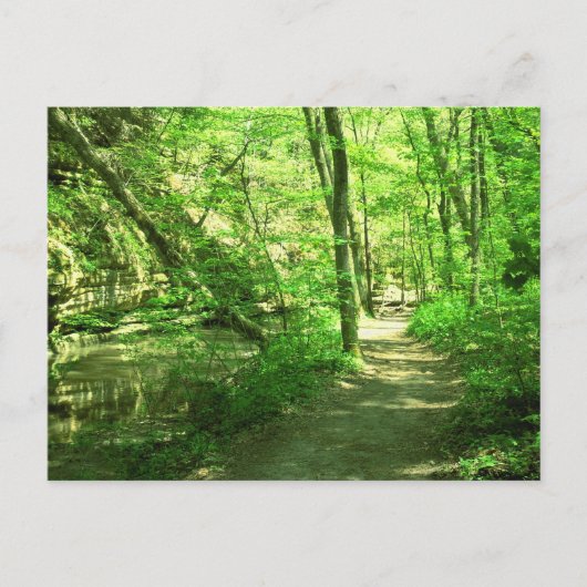 Carte Postale Forêt verte (Devant)