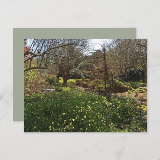 Carte Postale Forêt verte avec des fleurs jaunes (Devant / Derrière)