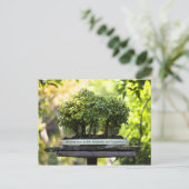 Carte Postale Forêt verte miniature Bonsai Pot Feuilles de piéde (Debout devant)