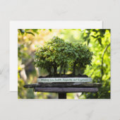 Carte Postale Forêt verte miniature Bonsai Pot Feuilles de piéde (Devant / Derrière)
