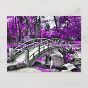 Carte Postale Forêt violette Dreamscape