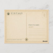 Carte Postale Forêts de Bear Mountain VINTAGE (Dos)