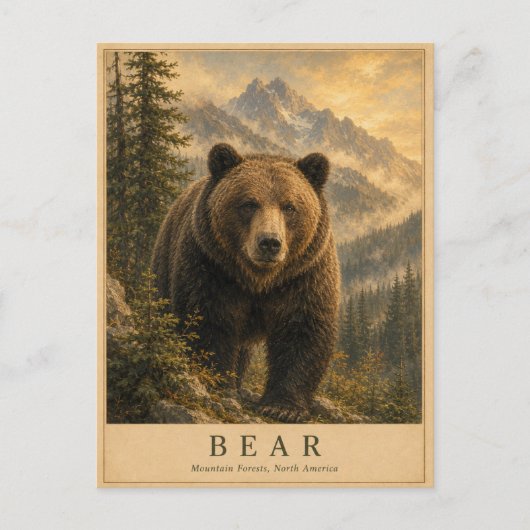 Carte Postale Forêts de Bear Mountain VINTAGE (Devant)