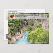 Carte Postale Forêts de hêtres anciennes et primitives - rivière (Devant / Derrière)