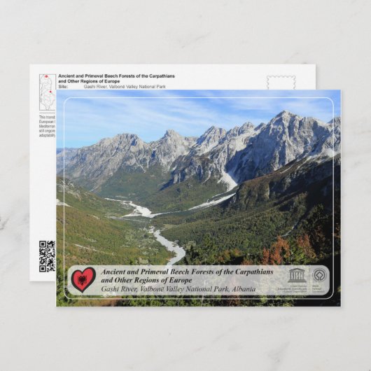 Carte Postale Forêts de hêtres anciennes et primitives - rivière (Devant / Derrière)