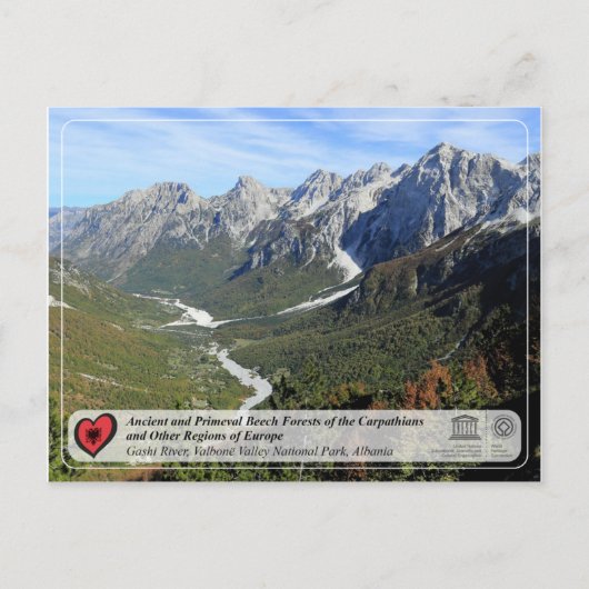 Carte Postale Forêts de hêtres anciennes et primitives - rivière (Devant)