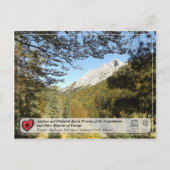 Carte Postale Forêts de hêtres anciennes et primitives - Rrajca (Devant)