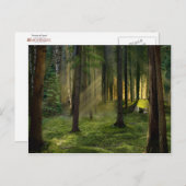 Carte Postale Forêts de l'aube (Devant / Derrière)