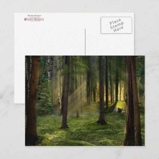 Carte Postale Forêts de l'aube (Devant / Derrière)