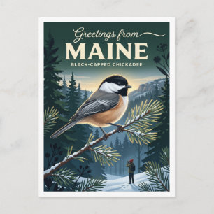 Carte Postale Forêts de sapins et d'épicéas côtiers du Maine à B