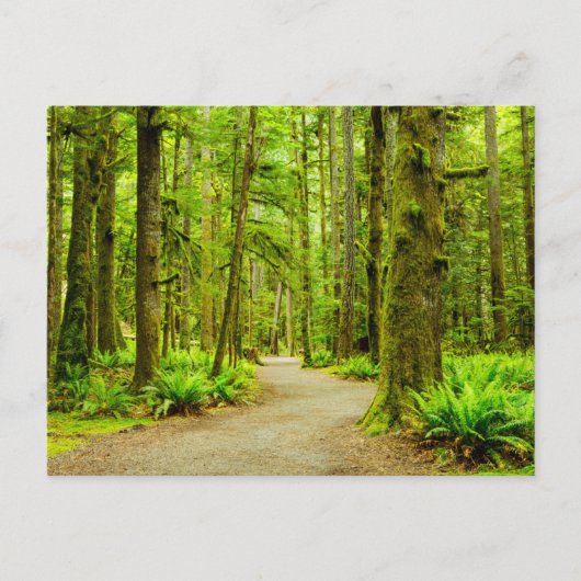 Carte Postale Forêts | Parc national Olympique (Devant)