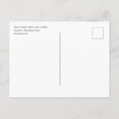 Carte Postale Forêts pluviales, Fermes, Parc National Olympique (Dos)