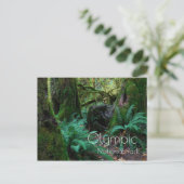 Carte Postale Forêts pluviales, Fermes, Parc National Olympique (Debout devant)