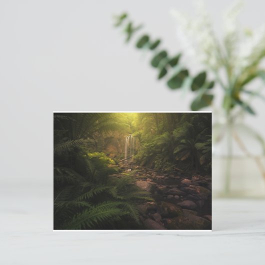 Carte Postale Forêts | Reflets du soleil sur la cascade (Debout devant)