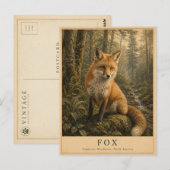 Carte Postale Forêts tempérées de renard VINTAGE (Devant / Derrière)