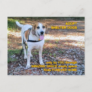 Carte Postale Forever Home Grace Extraordinaire