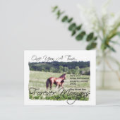 Carte Postale Forever Morgans Fairytale Morgan Mare et Foal (Debout devant)